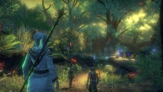 The Elder Scrolls Online: MurkmireWir reisen selbst in das Innere eines Histbaumes, um den Argoniern zu helfen.