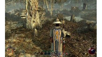 Two Worlds 2 - Mittlere Details