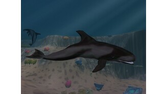 Zoo Tycoon 2 Marine Mania 14