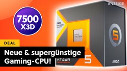 Diese neue X3D-CPU von AMD ist mein Preis-Leistungs-Tipp 2026