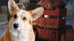 »Könnte ihn kaum mehr lieben« - Andors B2EMO ist in Wahrheit ein alter Hund, der den Serien-Chef im echten Leben begleitet