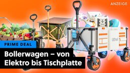 Mein Bollerwagen hat das letzte Festival nicht überlebt: Im Prime Day habe ich mir jetzt Ersatz geholt - und die Entscheidung war nicht leicht!