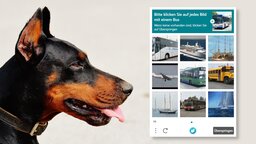 Kannst du erkennen, ob ein Hund lacht? Wenn nicht, hast du im Internet bald vielleicht ein Problem