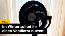 Wieso ich einen Ventilator im Winter nutze und vor allem auf dieses Modell setze!