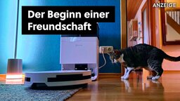 Sauberer Haushalt auf Knopfdruck: Dieser Saugroboter ist mein Haushalts-Highlight 2025 - selbst meine Katze liebt ihn!