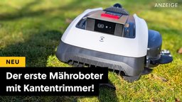 Der erste Mähroboter mit Kantenschnitt im Praxis-Check: So gut ist die neue Generation 2026!