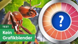 Ultrarealistisches Echtzeit-Strategiespiel: Empire of the Ants erkrabbelt im Test den Grafik-Olymp
