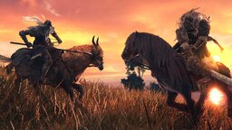 Elden Ring: Shadow of the Erdtree - Auf Steam laufen jetzt Vorbereitungen für den DLC an