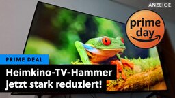 OLED kann für mich einpacken: Dieses 75-Zoll 4K-TV-Monster ist so gut, dass ich es selber habe - zum Hammerpreis!
