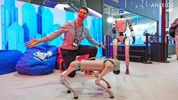 So viele Roboter wie dieses Jahr haben wir noch nie in der Hand gehabt: Das sind unsere Empfehlungen für Haus und Garten!