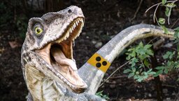 Filmfehler in Jurassic Park: Wie konnte ich diese Hand fast 30 Jahre lang übersehen?