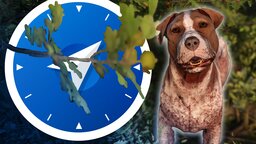 So löst ihr die Nebenquest »Köter« und findet euren geliebten Hund