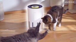 »Mach das Fenster zu, du lässt die frische Luft raus!« – wer dieses Ding nicht hat, filtert die Luft mit seiner eigenen Lunge