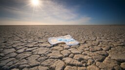 Im Kampf gegen Hitze und Dürre: Forscher vom MIT stoßen auf Technologie, die auf Windeln basiert