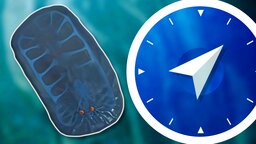 Monster Hunter Wilds: Megawattschnecke finden und fangen - so gehts!