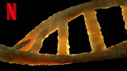DNA als Speichermedium: Eine Million Netflix-Folgen in etwas Flüssigkeit, wie geht das?