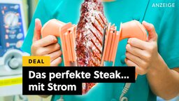 Grill oder Airfryer? Warum nicht beides? Ninja zerlegt die Konkurrenz in Sachen Elektro-Grills und das Flaggschiff ist aktuell mächtig reduziert!