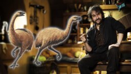 Peter Jackson will einen Traum aus Jurassic Park wahr machen und einen längst ausgestorbenen Riesenvogel wiederbeleben