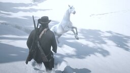 Bestes Pferd in Red Dead Redemption 2: So bekommt ihr den weißen Araber