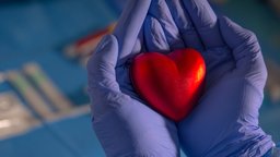 Wissenschaftler haben ein Roboter-Herz gebaut, dessen Job es ist, nicht richtig zu funktionieren