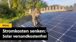 Jetzt zuschlagen, Frühling is coming: Vier Solarmodule mit 0€ Versand