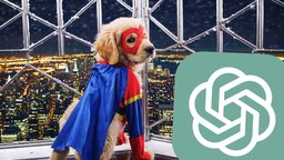 Tolle Bilder, hohe Preise: Der Video-Generator »Sora« spaltet die Community