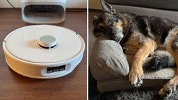 Saugroboter in Haushalten mit Tierhaaren: Worauf ihr achten solltet