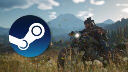 Großer Survival-Sale auf Steam: Unsere 6 Empfehlungen sind aktuell stark reduziert