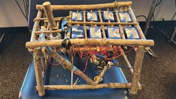 Spieler baut sich einen Controller aus Ästen und Pokémon-Karten, der nicht nur funktioniert, er hat ihn sogar zu einem Turnier mitgenommen