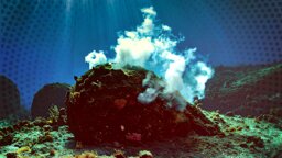 Forscher entdecken »Geo-Batterien« am Grunde der Tiefsee. Sie sind Billionen Euro wert und stellen unser Bild vom Entstehen des irdischen Lebens auf die Probe