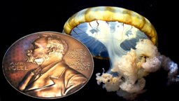 Busfahrer statt Nobelpreisträger: Selten zeigt die Biografie eines Wissenschaftlers derart tragisch, wie schwer Timing und Glück wirklich wiegen