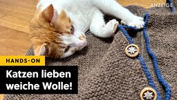Kann Wolle in den Trockner? Ich habe es mit einem der besten Geräte ausprobiert und nicht bereut
