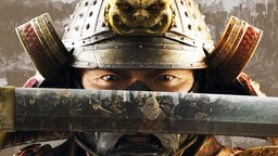 Total War: Shogun 2 - Motivation schlägt Blödheit