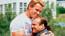 Eine 35 Jahre alte Kult-Komödie mit Arnold Schwarzenegger wird nicht fortgesetzt, aber es gibt Trost
