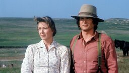 Für die Neuauflage einer 51 Jahre alten Western-Serie verspricht Netflix eine »epische Geschichte ums Überleben«