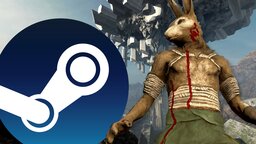 Gabe Newell wird persönlich vor Gericht zitiert, weil ein Entwickler Valve verklagt