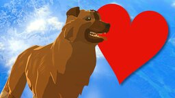 Ihr könnt keine Hunde streicheln? Fans finden andere Wege