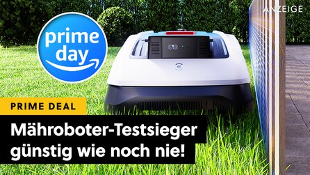 Letzte Chance: Unser Mähroboter-Testieger ohne Draht ist so günstig, dass wir es selbst kaum glauben können