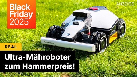 Mähroboter zum Black Friday: So gut waren die Angebote nie - seid schlau und kauft jetzt, im Frühling werden sie teurer!