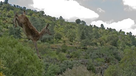 Wolfsbrüder - Bilder aus dem Kinofilm