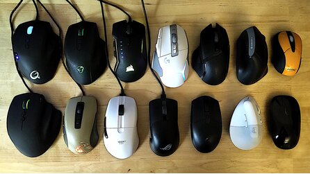 Was passiert, wenn man 14 Mäuse gleichzeitig an einem PC anschließt?