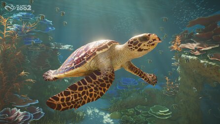 Planet Zoo 2 - Announcement Screenshots