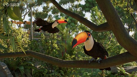 Planet Zoo 2 - Announcement Screenshots