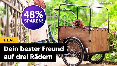 E-Bikes kosten richtig viel Geld! Dieses E-Lastenrad mit Holzbox stemmt bis zu 250 kg und ist grad mächtig reduziert!