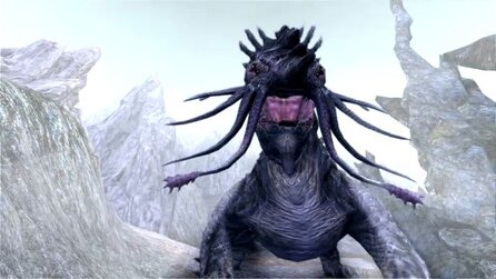 Age of Conan: Rise of the Godslayer - Inhalt der Box-Version