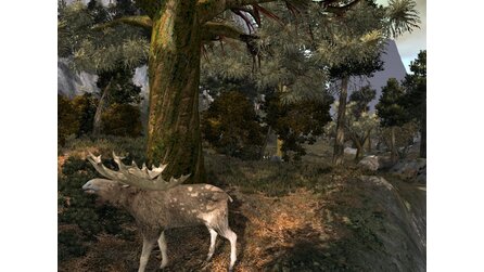 Age of Conan - Demnächst Betatest