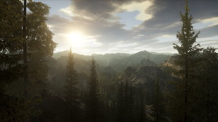 Alan Wake - Kommt definitiv nicht 2007
