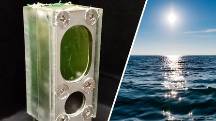 Photosynthese für Computer: Wie Forscher mit Algen einen Rechner betreiben