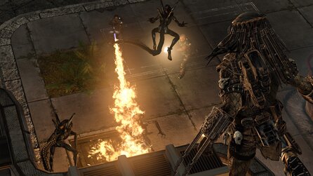 Aliens vs. Predator - nutzt Steam als Kopierschutz