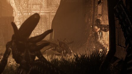 Aliens vs. Predator - Vorbestellen und Universe at War abstauben